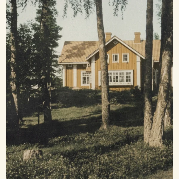 villan_01